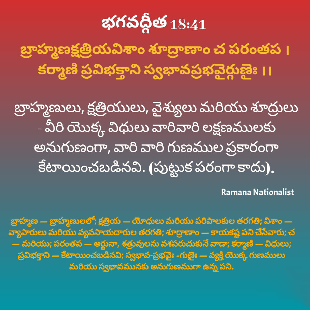 image-24