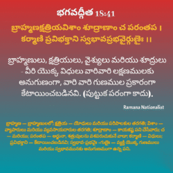 image-24