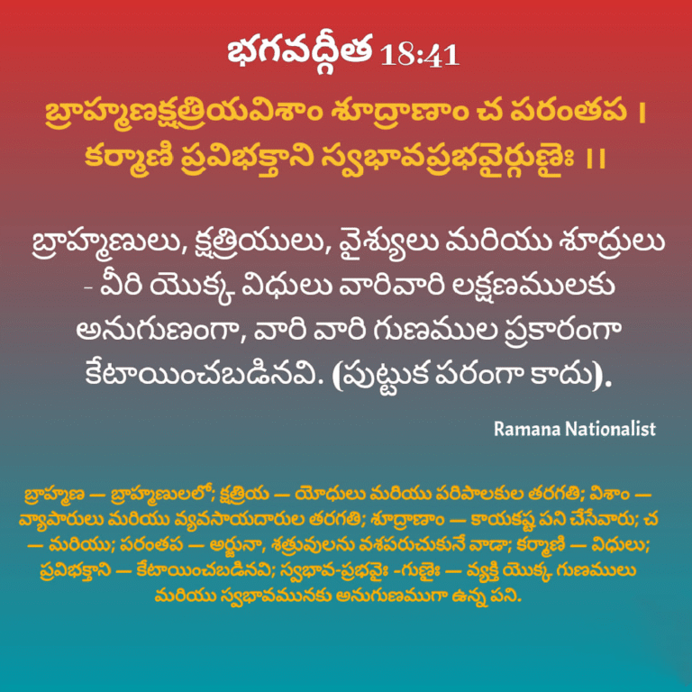 image-24
